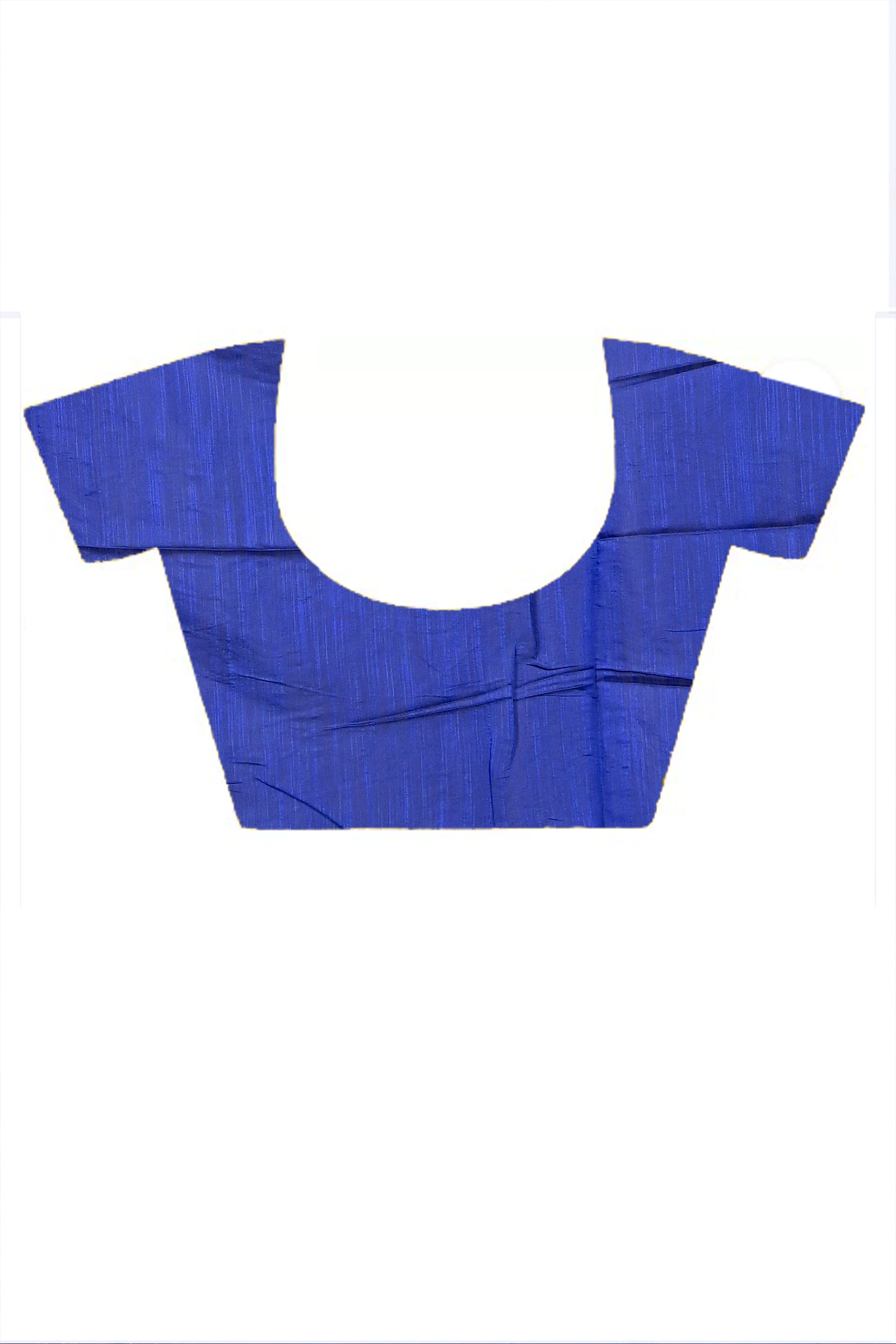 Blue Cotton Blended Parik Applique Saree (332)